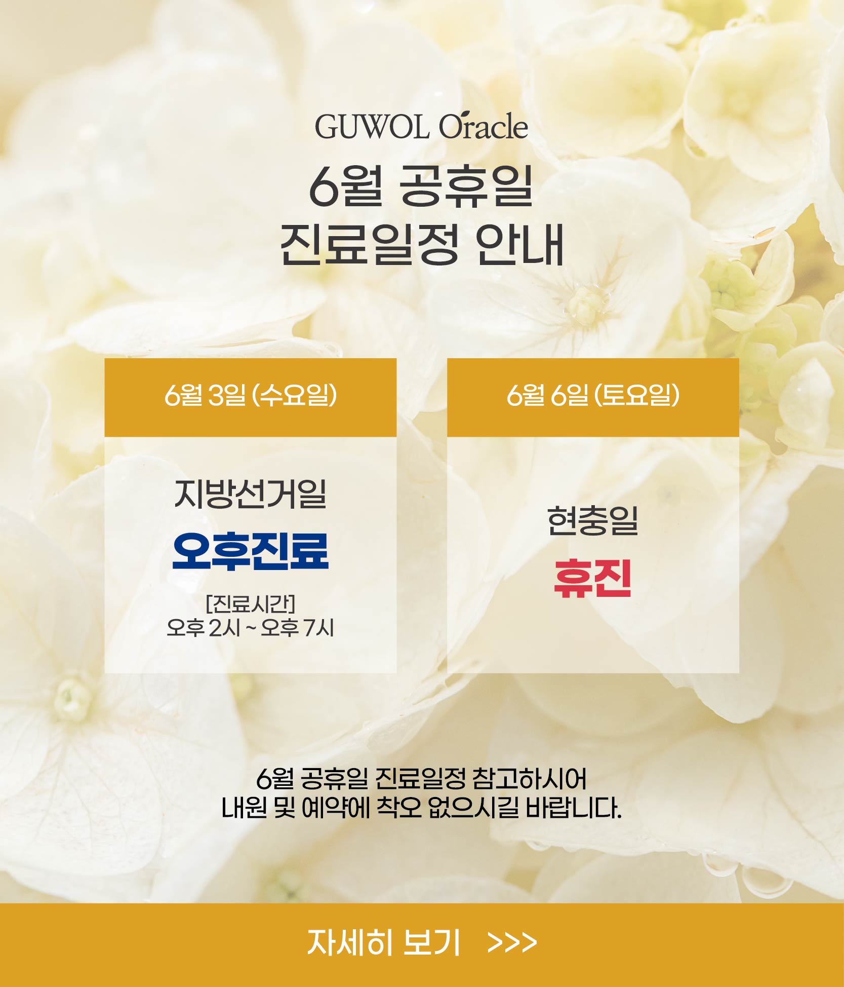 6월 공휴일 진료일정